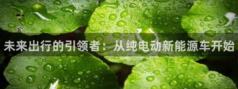 新宝gg投注