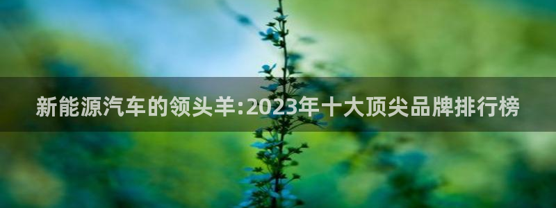 新宝gg用哪个浏览器