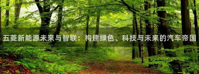 新宝gg平台首页