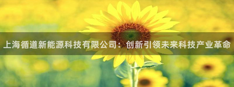 新宝gg赚钱