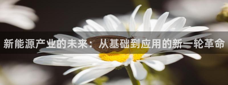 新宝gg画