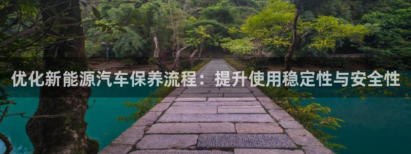新宝gg和新宝123：优化新能源汽车保养