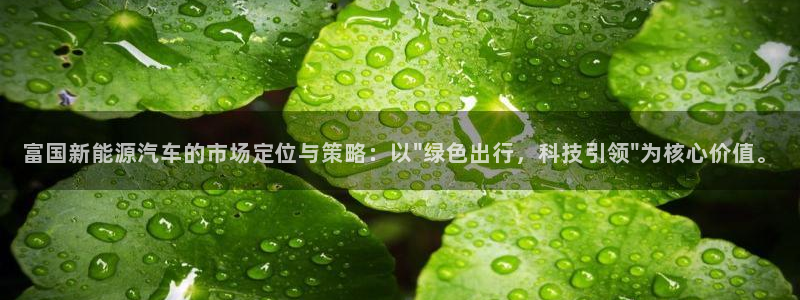 新宝gg手机登录官网：富国新能源汽车的市