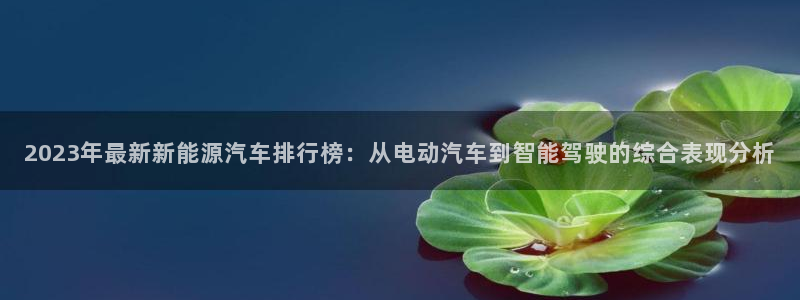 新宝gg奖金
