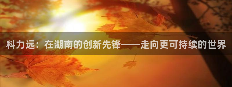 新宝gg开奖