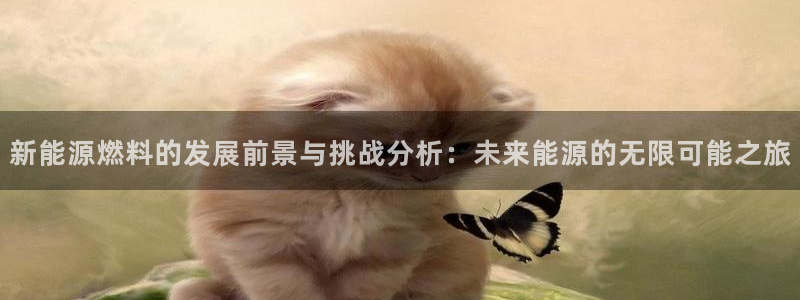 新宝GG的老板