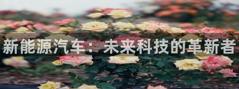新宝gg网点：新能源汽车：未来科技的革新