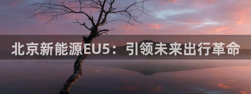 新宝gg娱乐注册：北京新能源EU5：引领
