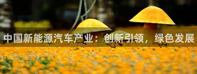 新宝gg官方注册找上级：中国新能源汽车产