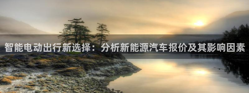 55新宝gg：智能电动出行新选择：分析新
