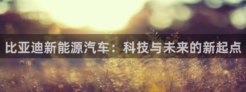 正版新宝gg：比亚迪新能源汽车：科技与未