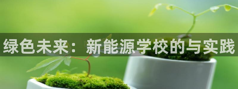 新宝GG询问29999：绿色未来：新能源