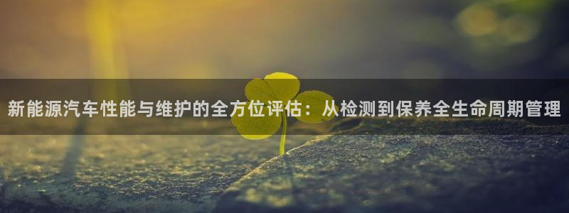 新宝gg挂机软件下载：新能源汽车性能与维