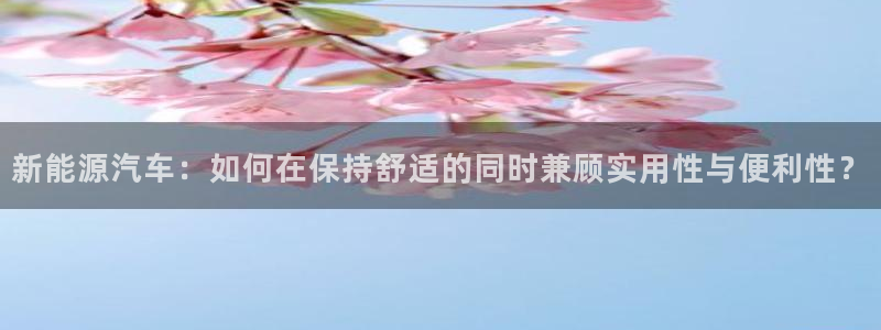 www.新宝gg