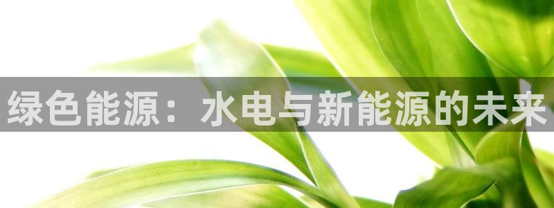 新宝GG53339咨询新宝GG