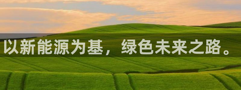 新宝gg挂机app