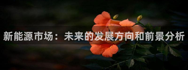 新宝gg主管开：新能源市场：未来的发展方