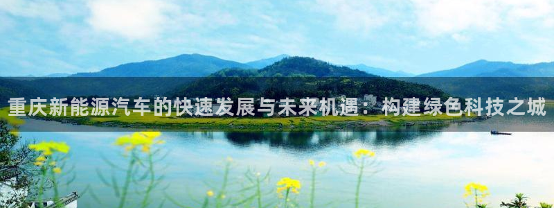 新宝GG桌面：重庆新能源汽车的快速发展与