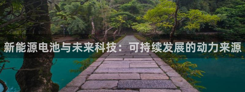 网站新宝GG:新能源电池与未来科技:可持续发展的动力来源