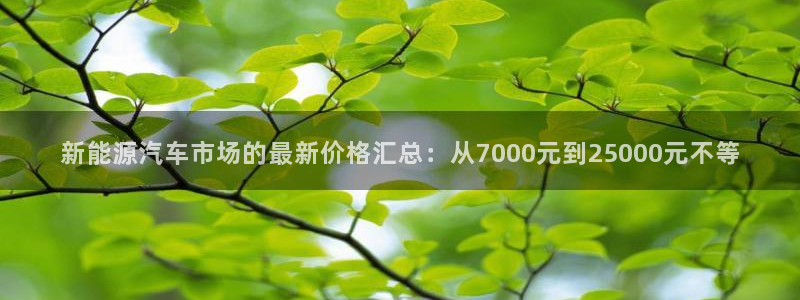 新宝gg漏洞:新能源汽车市场的最新价格汇总:从7000元到2