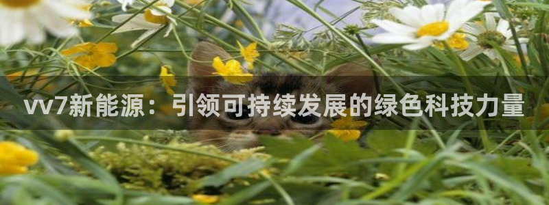 新宝GG厮78778:vv7新能源:引领可持续发展的绿色科技