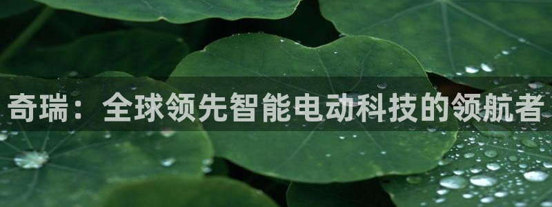 新宝gg 主管:奇瑞:全球领先智能电动科技的领航者