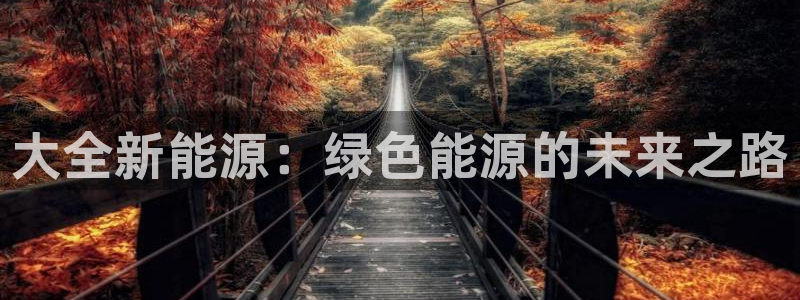 新宝gg运营88383:大全新能源:绿色能源的未来之路