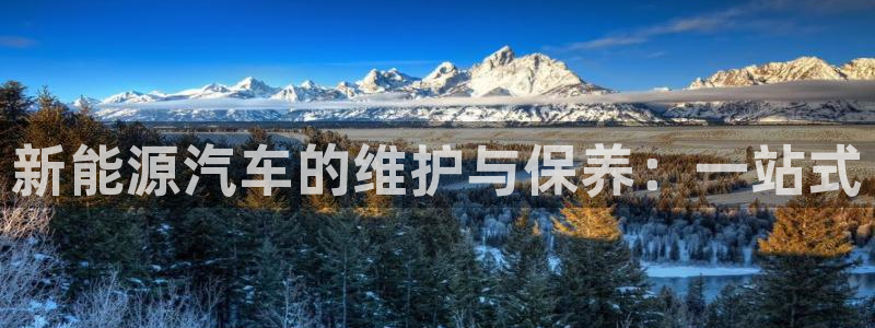 新宝gg主管111:新能源汽车的维护与保养:一站式