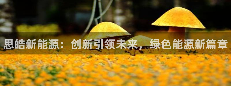 新宝gg黑平台:思皓新能源:创新引领未来,绿色能源新篇章