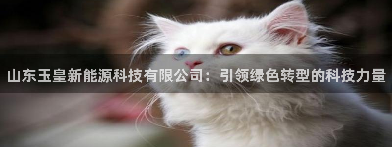 新宝gg联系