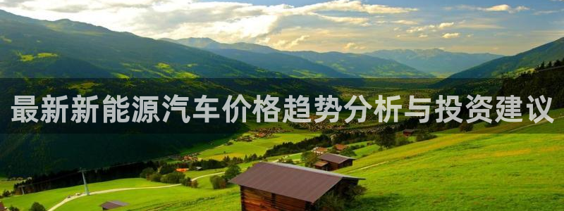 新宝gg什么：最新新能源汽车价格趋势分析