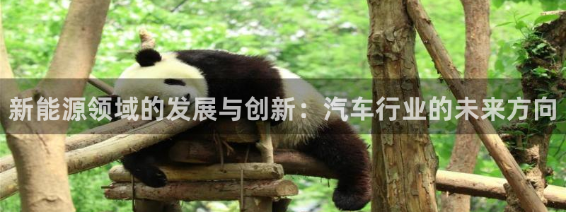 新宝一gg测速:新能源领域的发展与创新:汽车行业的未来方向