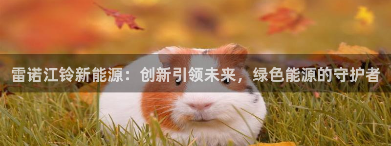 新宝gg技术