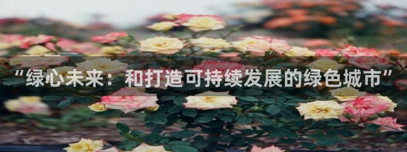 【新宝gg】