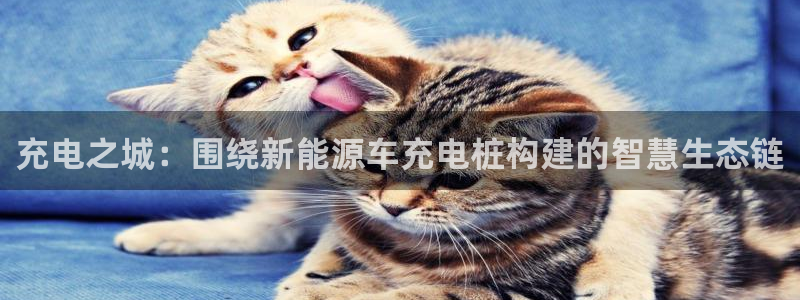 新宝gg手机app