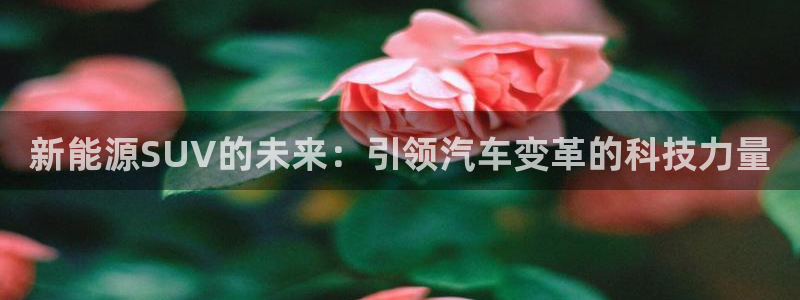 新宝gg直属上级：新能源SUV的未来：引