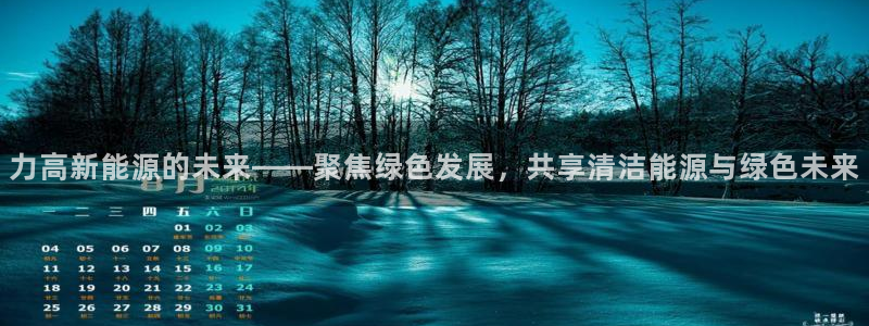 新宝gg主管都是谁：力高新能源的未来——