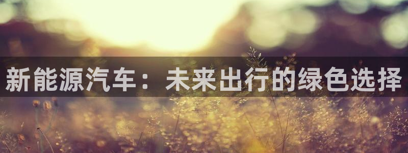 新宝亚洲GG：新能源汽车：未来出行的绿色