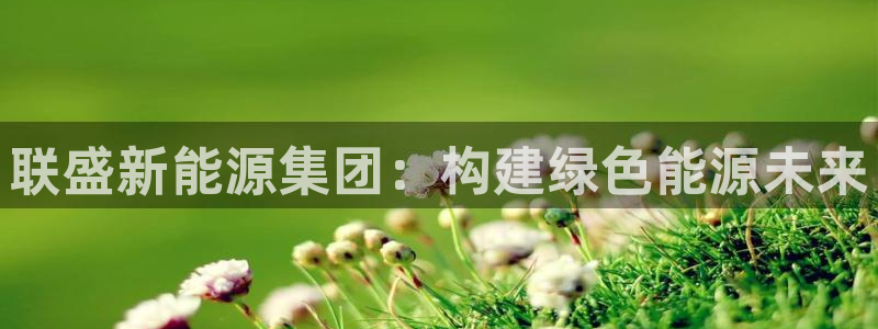 新宝 gg:联盛新能源集团:构建绿色能源未来