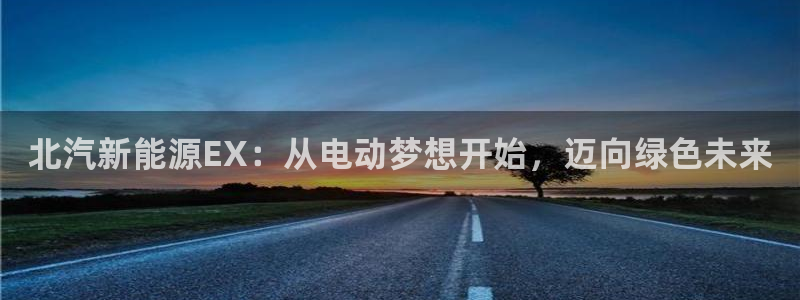 新宝gg开户:北汽新能源EX:从电动梦想开始,迈向绿色未来