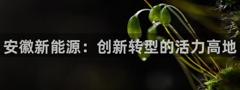 新宝gg有规律么:安徽新能源:创新转型的活力高地