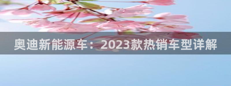 新宝gg 金苹果:奥迪新能源车:2023款热销车型详解
