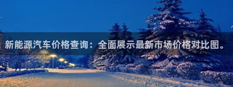 新宝gg地址:新能源汽车价格查询:全面展示最新市场价格对比图