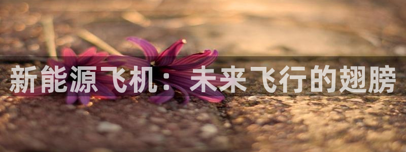 新宝集团gg:新能源飞机:未来飞行的翅膀