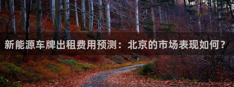 新宝gg登陆:新能源车牌出租费用预测:北京的市场表现如何?
