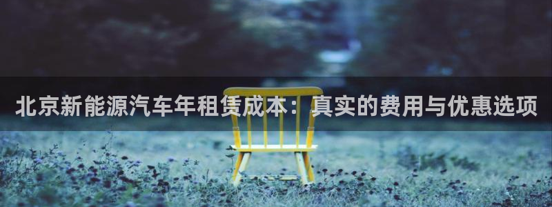 新宝gg扣钱:北京新能源汽车年租赁成本:真实的费用与优惠选项