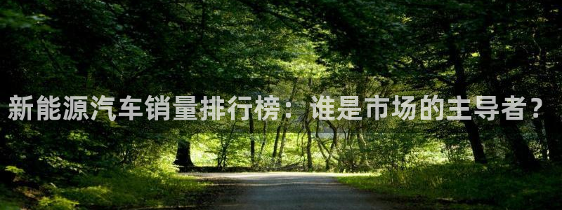 新宝gg联系:新能源汽车销量排行榜:谁是市场的主导者?