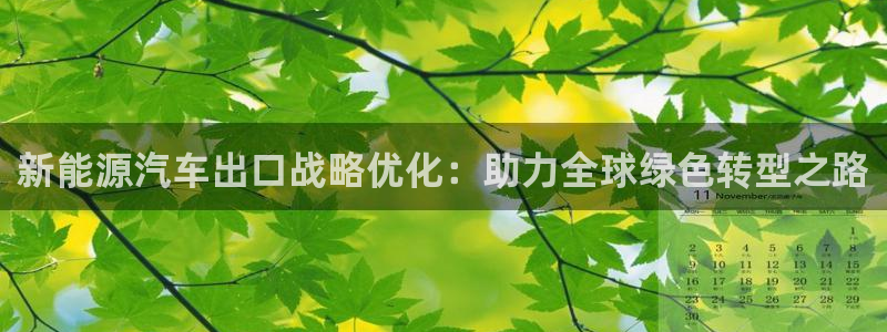 新宝.gg:新能源汽车出口战略优化:助力全球绿色转型之路