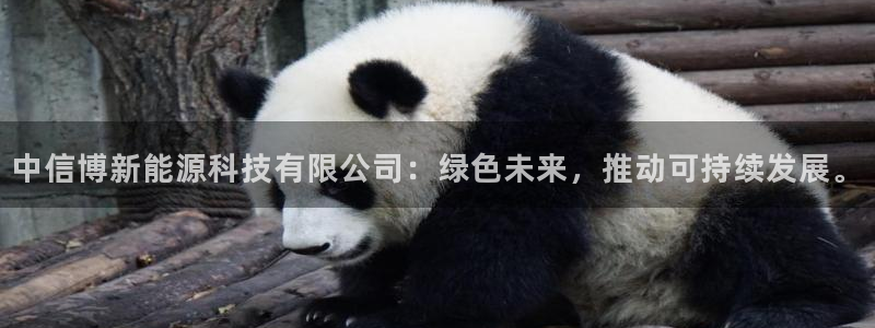 x新宝gg:中信博新能源科技有限公司:绿色未来,推动可持续发