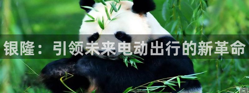 新宝gg注册首页:银隆:引领未来电动出行的新革命